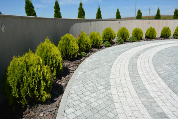 Best Custom Driveway Design and Paving in Bicknell, IN